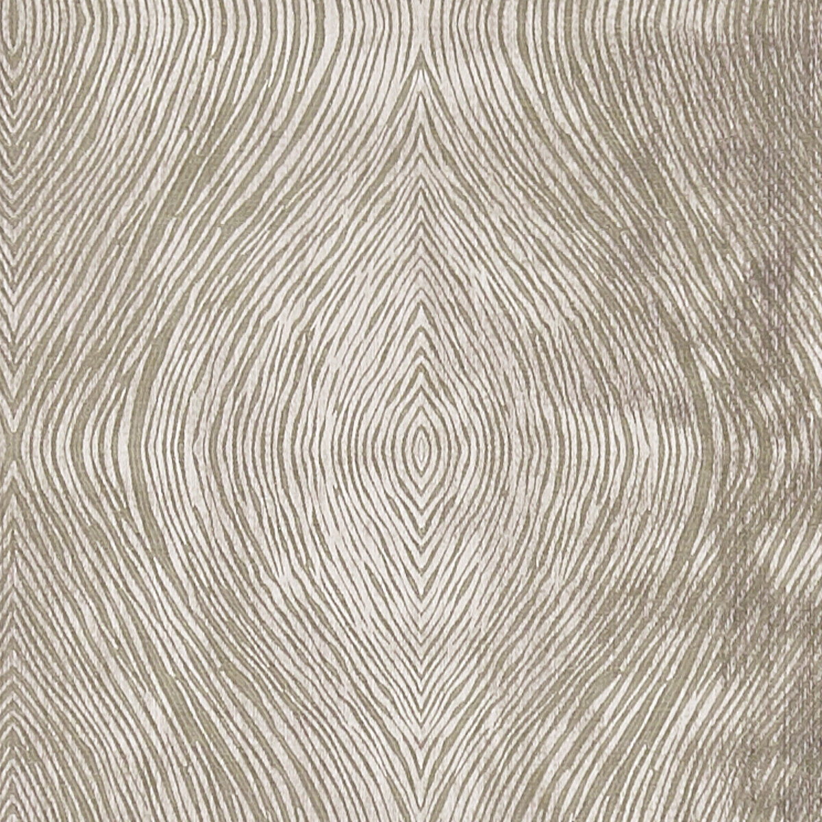 Luster fabric in mocha color - pattern F1336/05.CAC.0 - by Clarke And Clarke in the Clarke & Clarke Diffusion collection