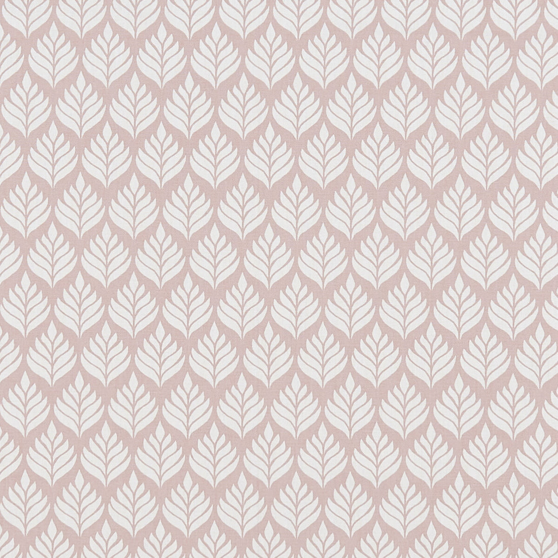 Elise fabric in blush color - pattern F1372/01.CAC.0 - by Clarke And Clarke in the Co-Ordinates By Studio G For C&amp;C collection