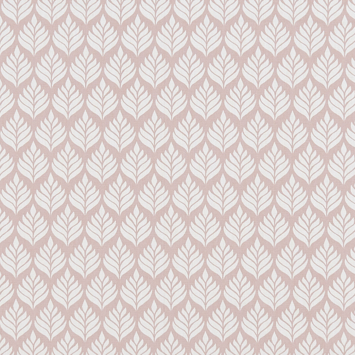 Elise fabric in blush color - pattern F1372/01.CAC.0 - by Clarke And Clarke in the Co-Ordinates By Studio G For C&C collection