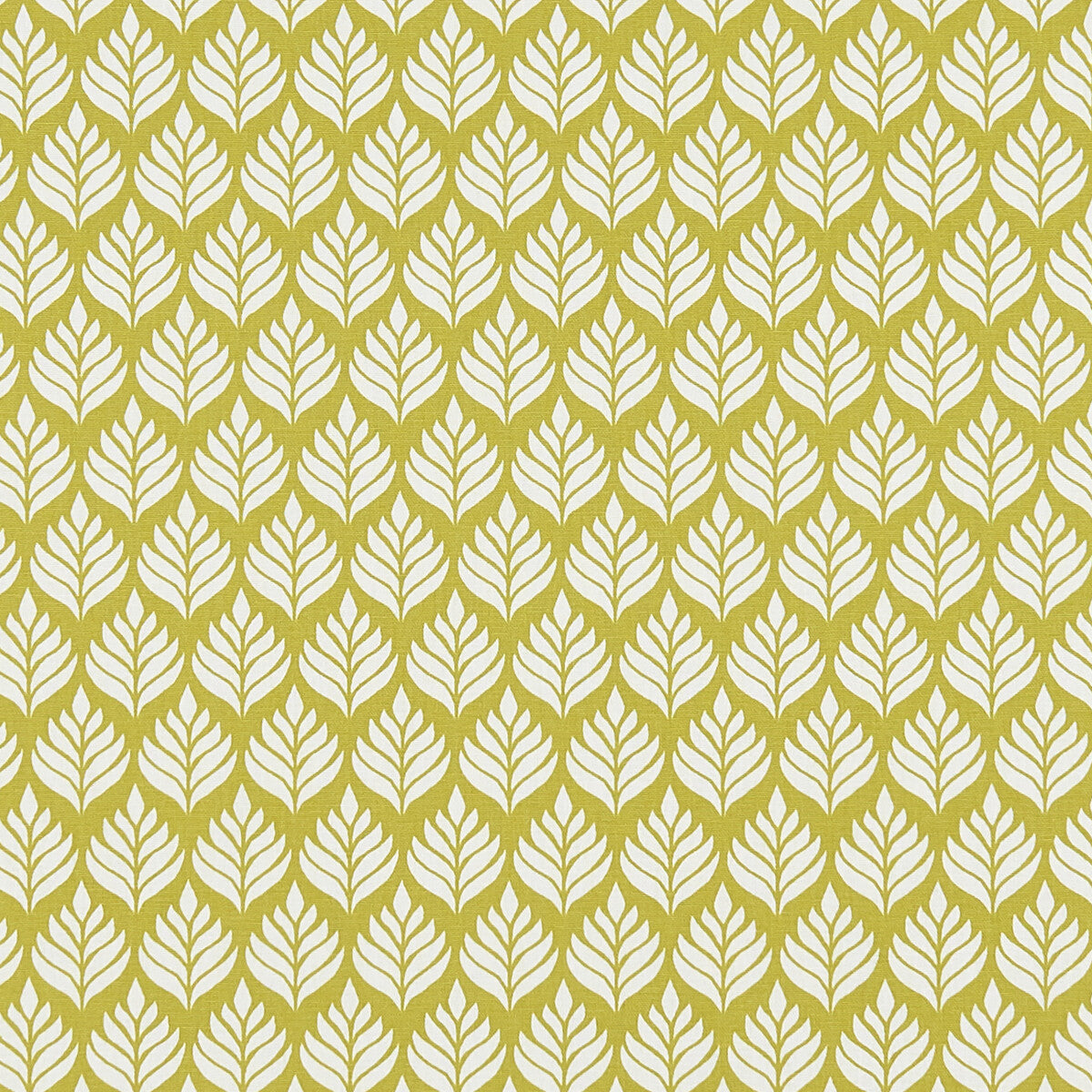 Elise fabric in citrus color - pattern F1372/03.CAC.0 - by Clarke And Clarke in the Co-Ordinates By Studio G For C&C collection