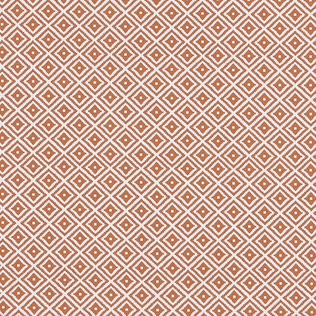 Kiki fabric in spice color - pattern F1374/07.CAC.0 - by Clarke And Clarke in the Co-Ordinates By Studio G For C&amp;C collection