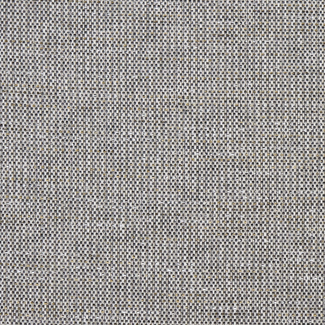Louis fabric in charcoal color - pattern F1388/03.CAC.0 - by Clarke And Clarke in the Clarke &amp; Clarke Mode collection