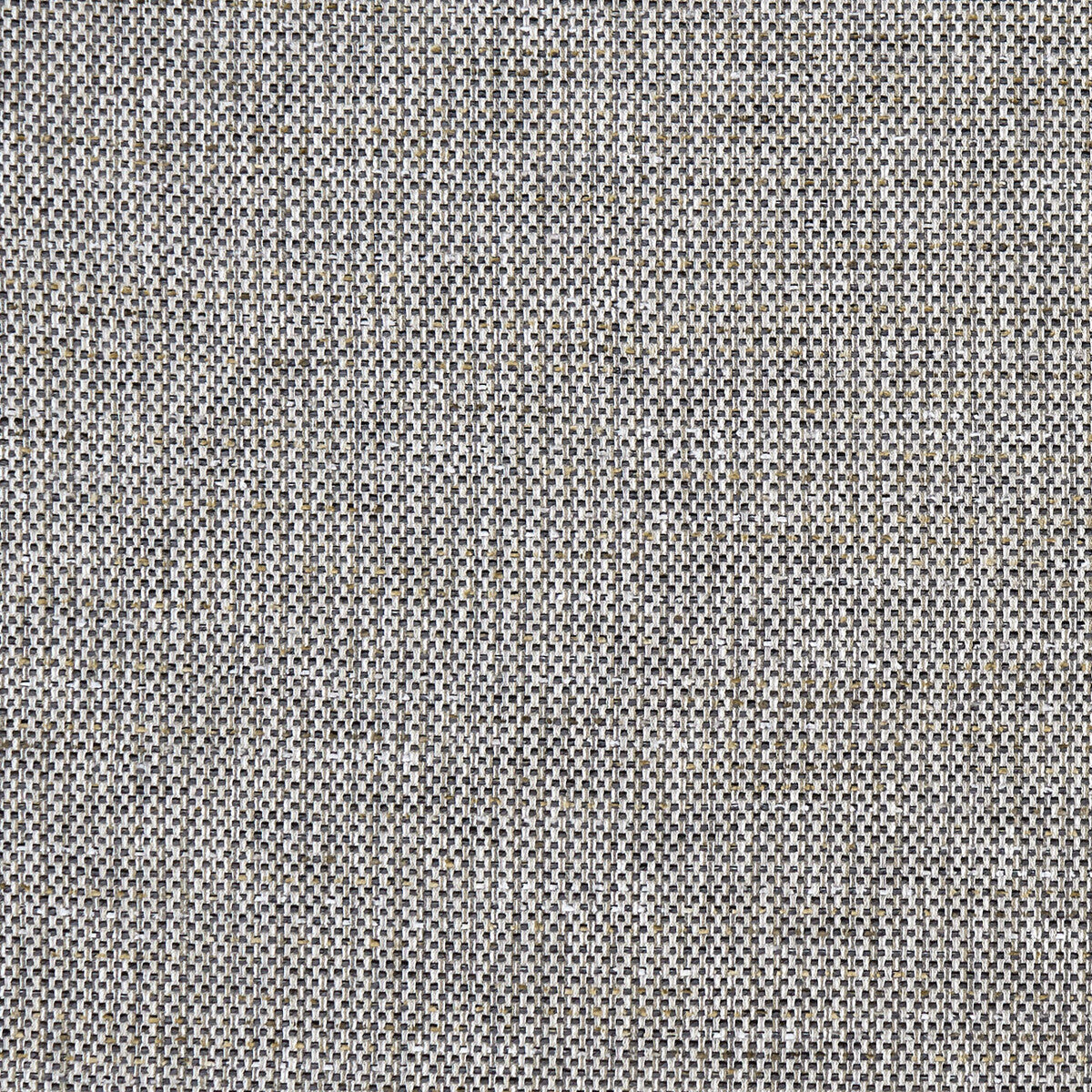 Louis fabric in charcoal color - pattern F1388/03.CAC.0 - by Clarke And Clarke in the Clarke & Clarke Mode collection