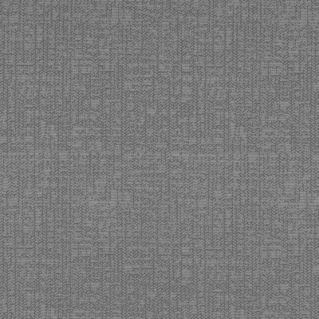Arva fabric in charcoal color - pattern F1405/02.CAC.0 - by Clarke And Clarke in the Clarke &amp; Clarke Natura collection
