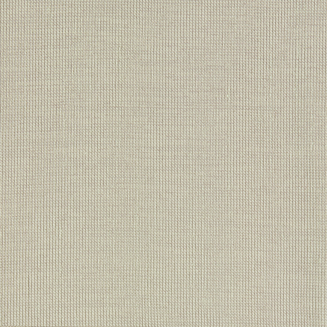 Pura fabric in taupe color - pattern F1408/07.CAC.0 - by Clarke And Clarke in the Clarke &amp; Clarke Natura collection