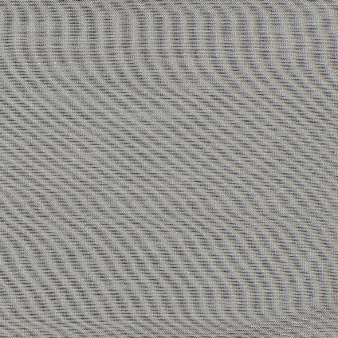 Terra fabric in steel color - pattern F1409/06.CAC.0 - by Clarke And Clarke in the Clarke &amp; Clarke Natura collection