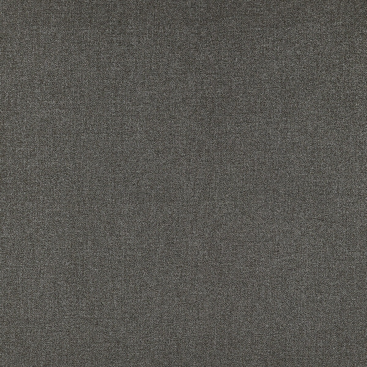 Acies fabric in charcoal color - pattern F1416/03.CAC.0 - by Clarke And Clarke in the Clarke & Clarke Purus collection