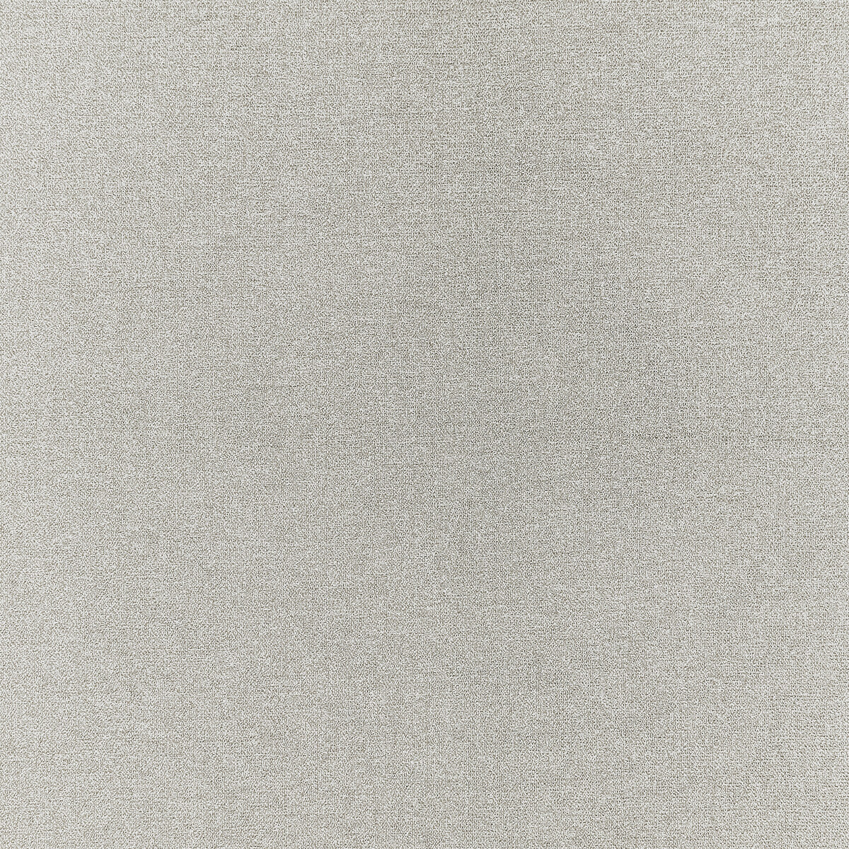 Acies fabric in silver color - pattern F1416/08.CAC.0 - by Clarke And Clarke in the Clarke & Clarke Purus collection