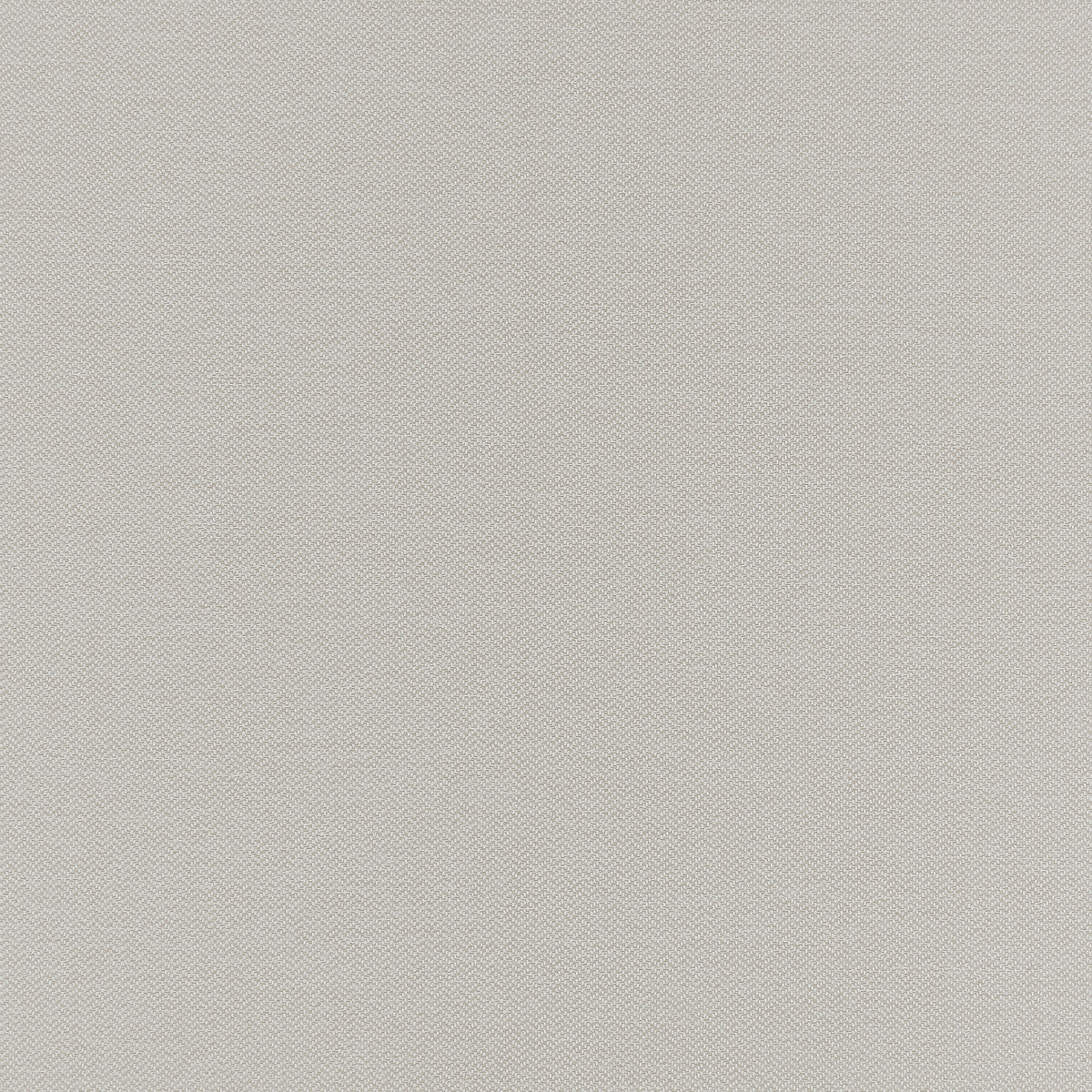 Claro fabric in linen color - pattern F1417/03.CAC.0 - by Clarke And Clarke in the Clarke & Clarke Purus collection