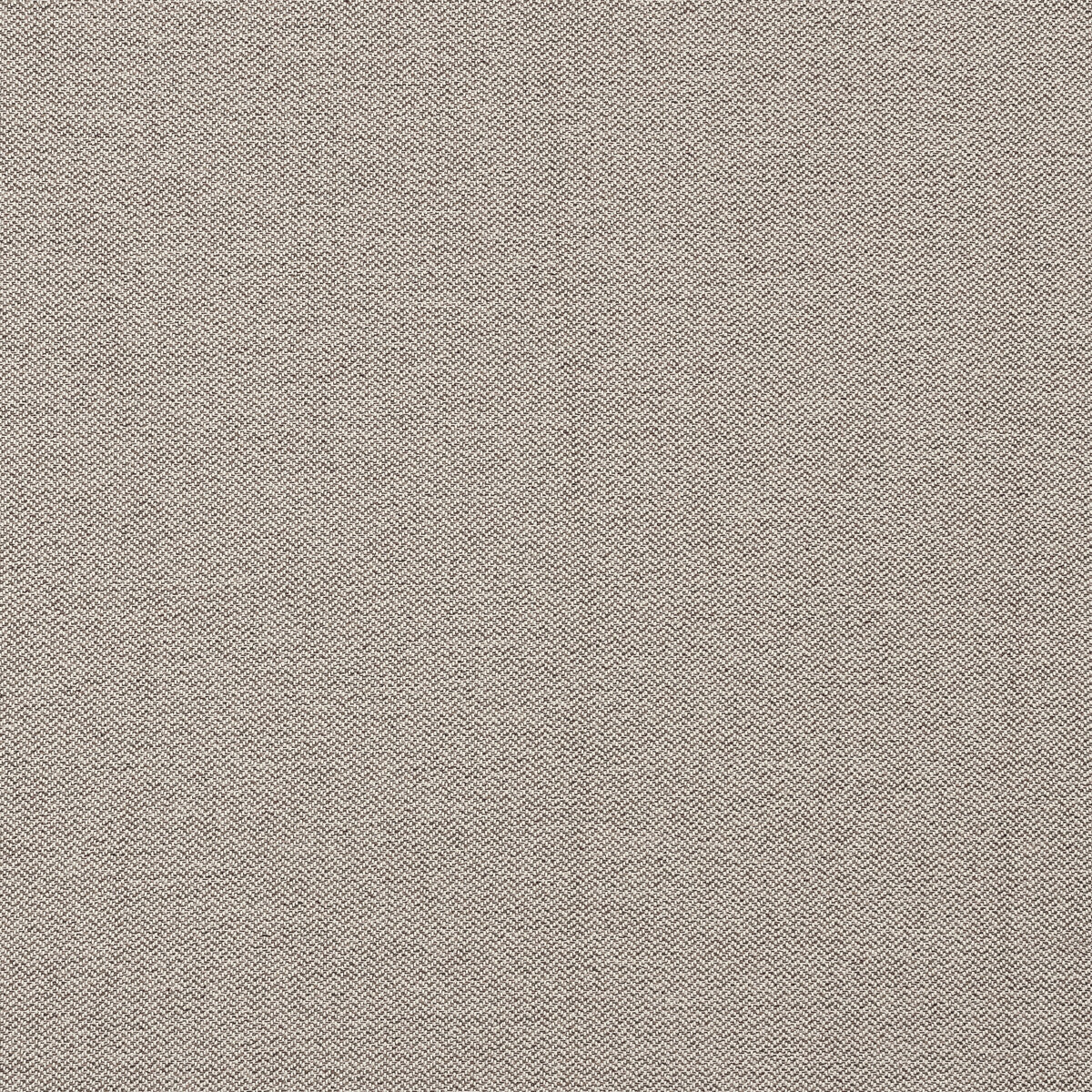 Claro fabric in taupe color - pattern F1417/06.CAC.0 - by Clarke And Clarke in the Clarke & Clarke Purus collection