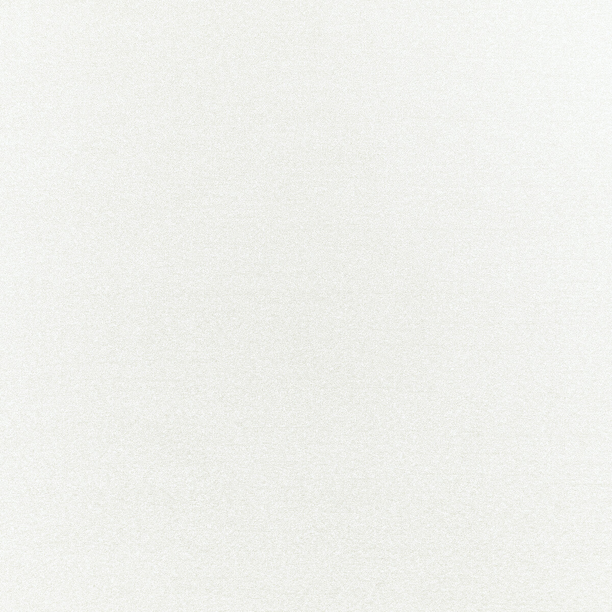 Felpa fabric in natural color - pattern F1419/05.CAC.0 - by Clarke And Clarke in the Clarke & Clarke Purus collection