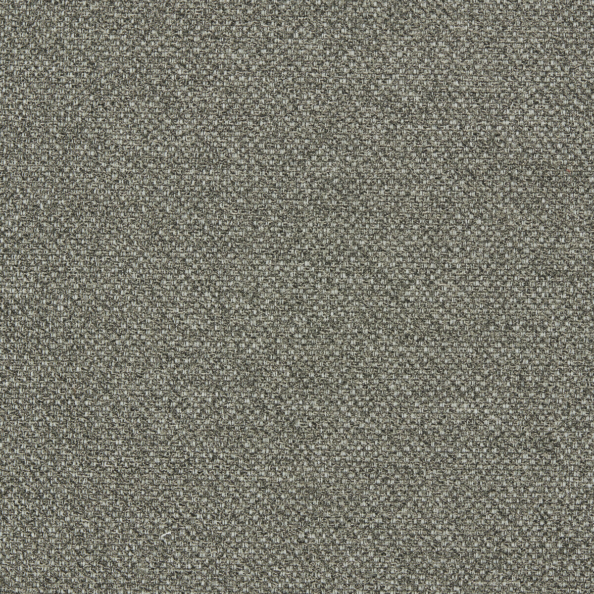 Filum fabric in earth color - pattern F1421/01.CAC.0 - by Clarke And Clarke in the Clarke & Clarke Purus collection