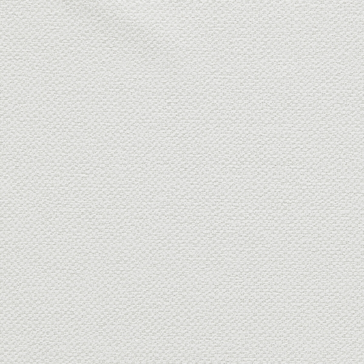 Filum fabric in polar color - pattern F1421/03.CAC.0 - by Clarke And Clarke in the Clarke & Clarke Purus collection