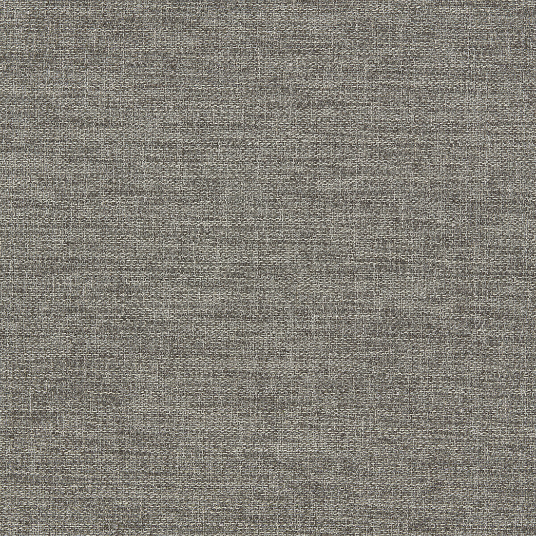 Llanara fabric in grey color - pattern F1422/03.CAC.0 - by Clarke And Clarke in the Clarke &amp; Clarke Purus collection
