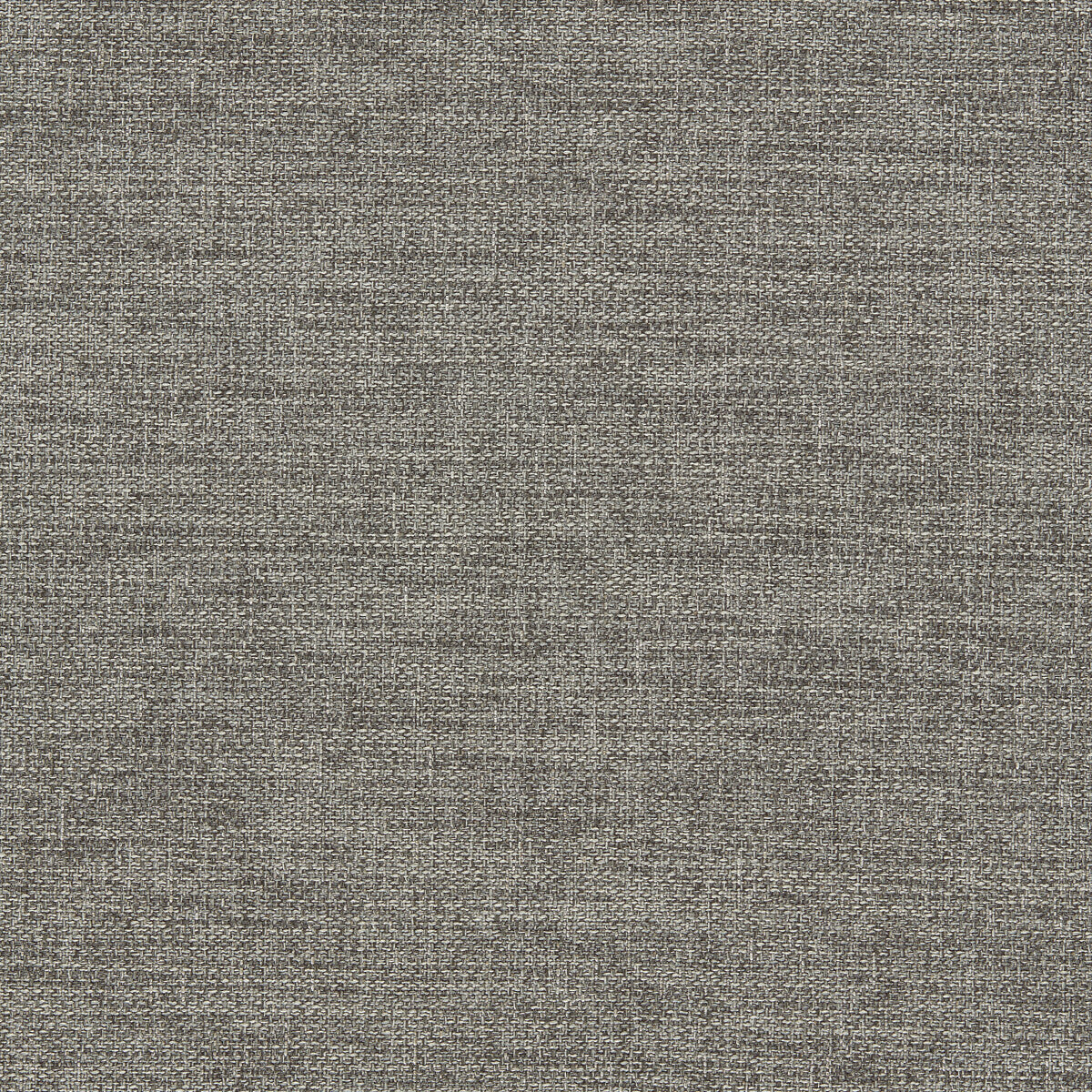 Llanara fabric in grey color - pattern F1422/03.CAC.0 - by Clarke And Clarke in the Clarke & Clarke Purus collection