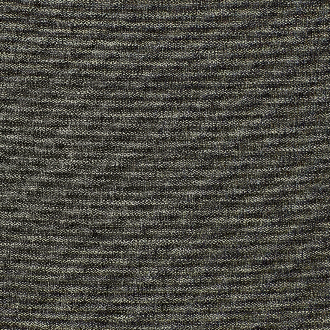 Llanara fabric in smoke color - pattern F1422/07.CAC.0 - by Clarke And Clarke in the Clarke &amp; Clarke Purus collection