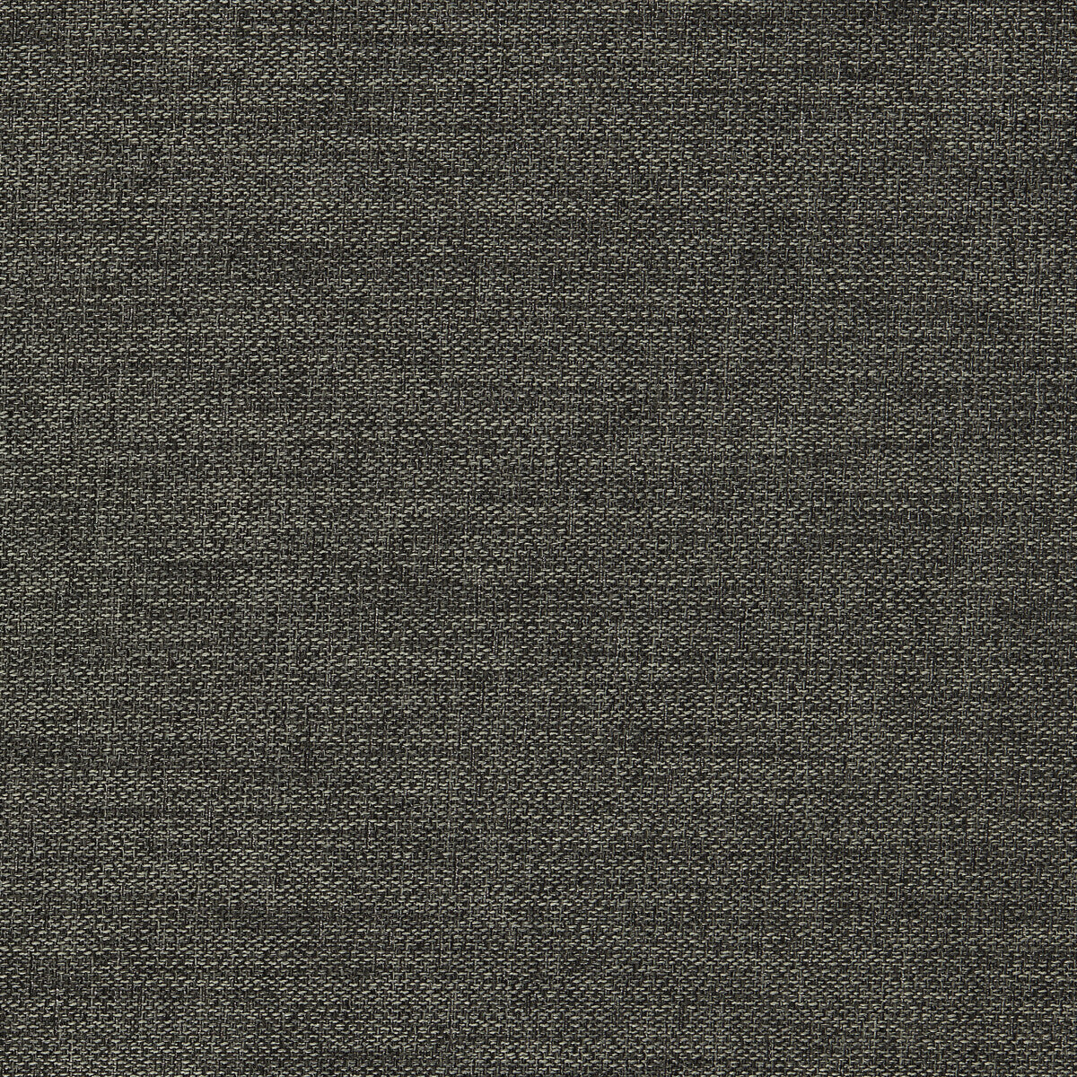 Llanara fabric in smoke color - pattern F1422/07.CAC.0 - by Clarke And Clarke in the Clarke & Clarke Purus collection