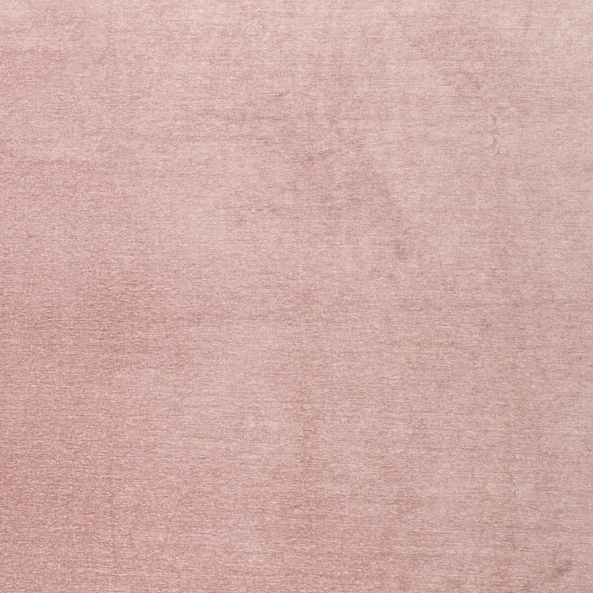 Maculo fabric in blush color - pattern F1423/02.CAC.0 - by Clarke And Clarke in the Clarke & Clarke Purus collection