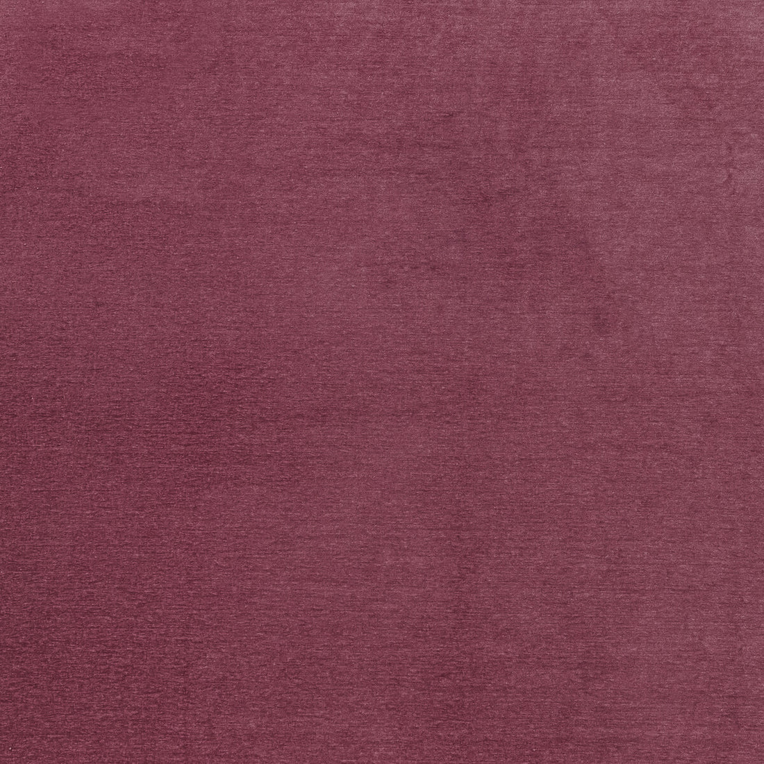 Maculo fabric in raspberry color - pattern F1423/12.CAC.0 - by Clarke And Clarke in the Clarke &amp; Clarke Purus collection