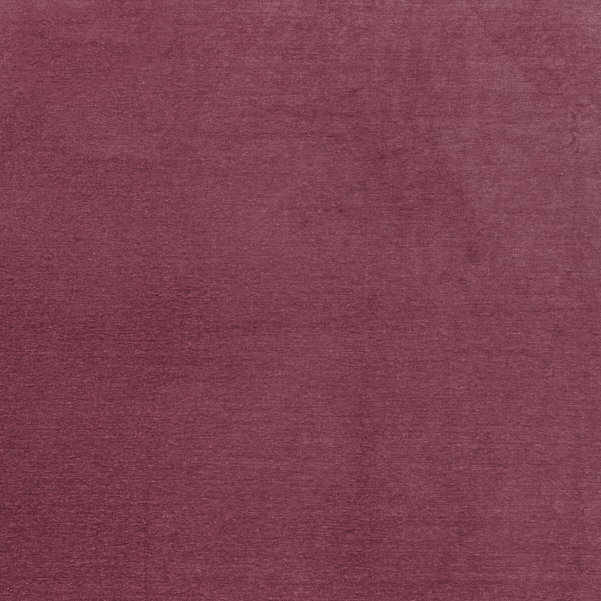 Maculo fabric in raspberry color - pattern F1423/12.CAC.0 - by Clarke And Clarke in the Clarke & Clarke Purus collection