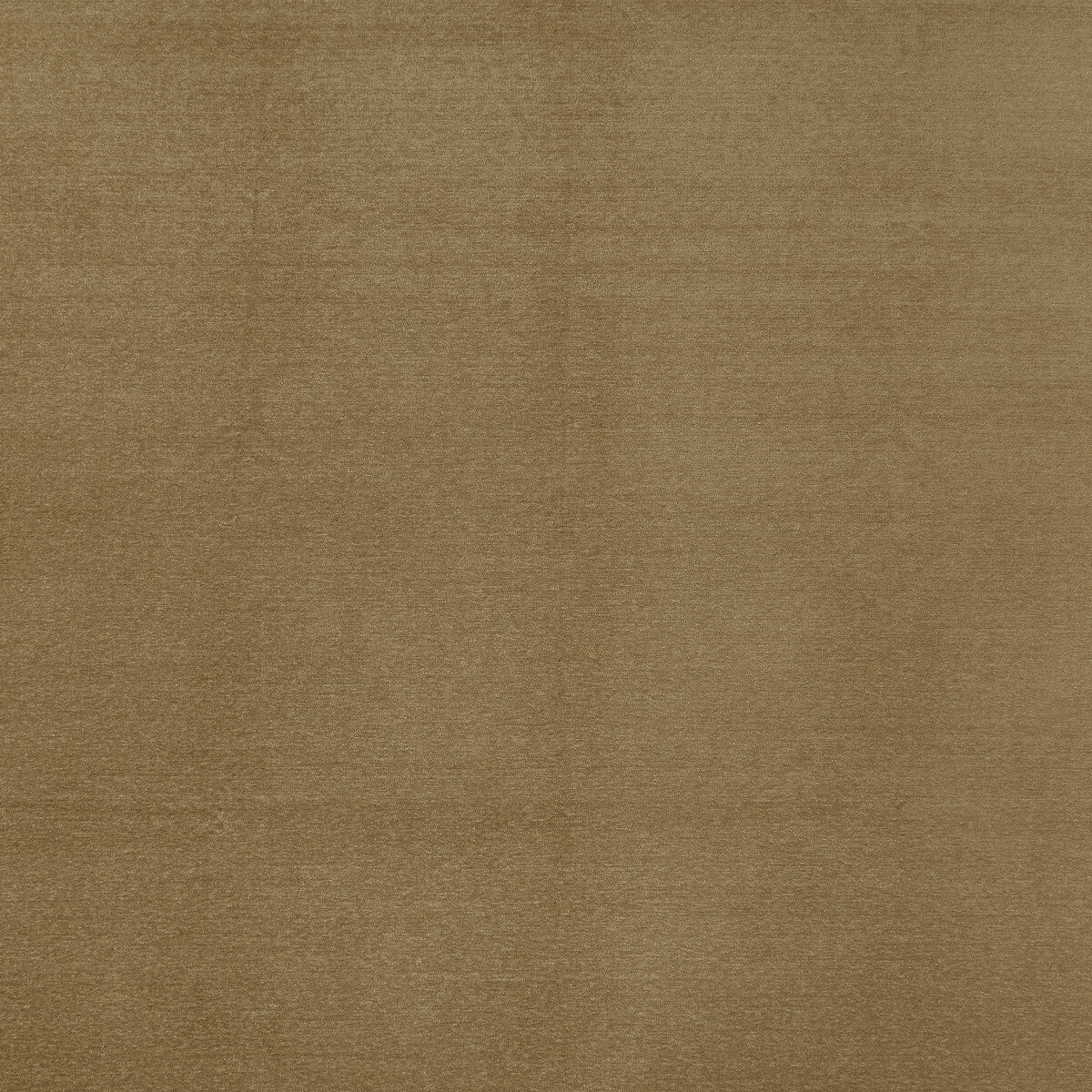 Maculo fabric in taupe color - pattern F1423/15.CAC.0 - by Clarke And Clarke in the Clarke & Clarke Purus collection