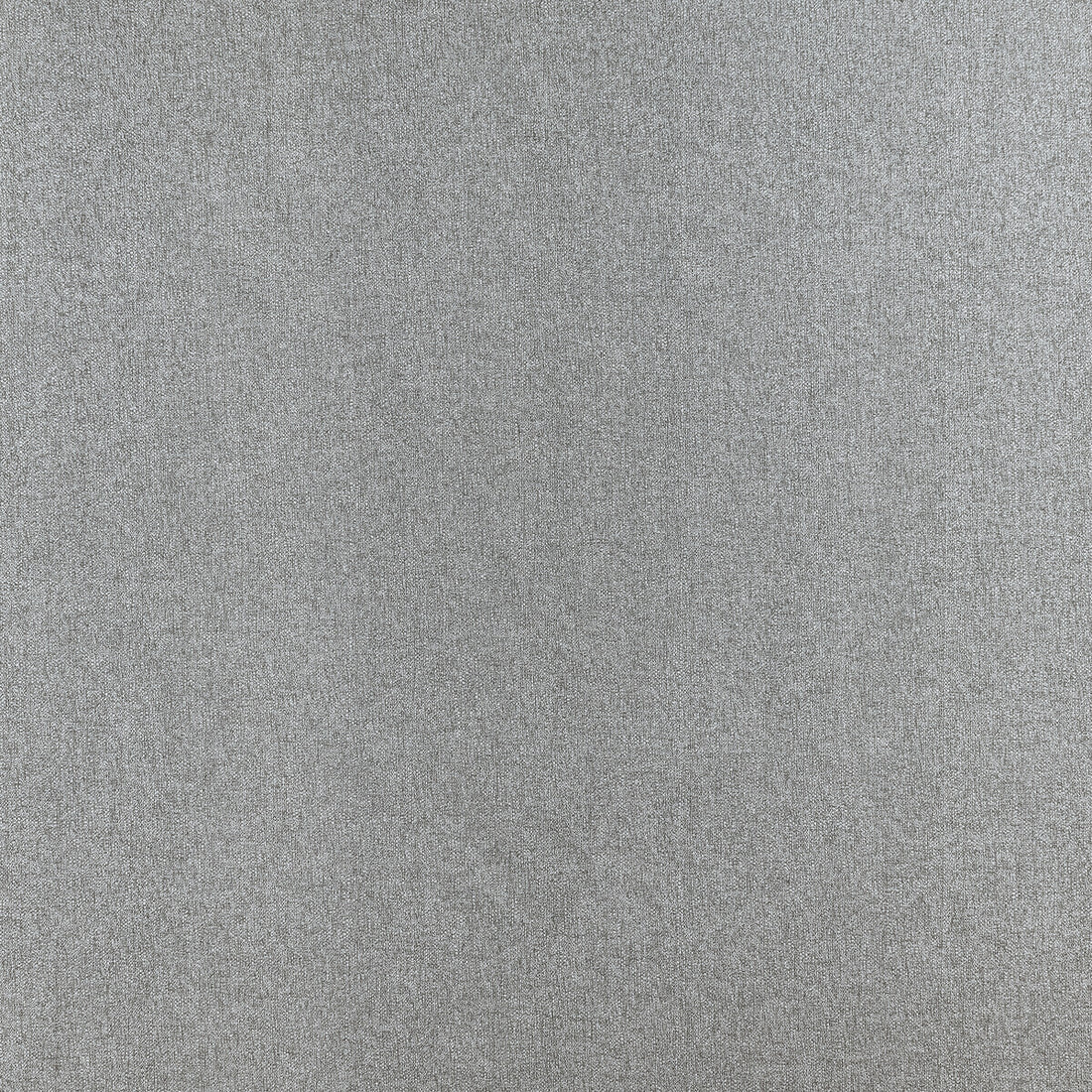 Pianura fabric in grey color - pattern F1426/05.CAC.0 - by Clarke And Clarke in the Clarke &amp; Clarke Purus collection