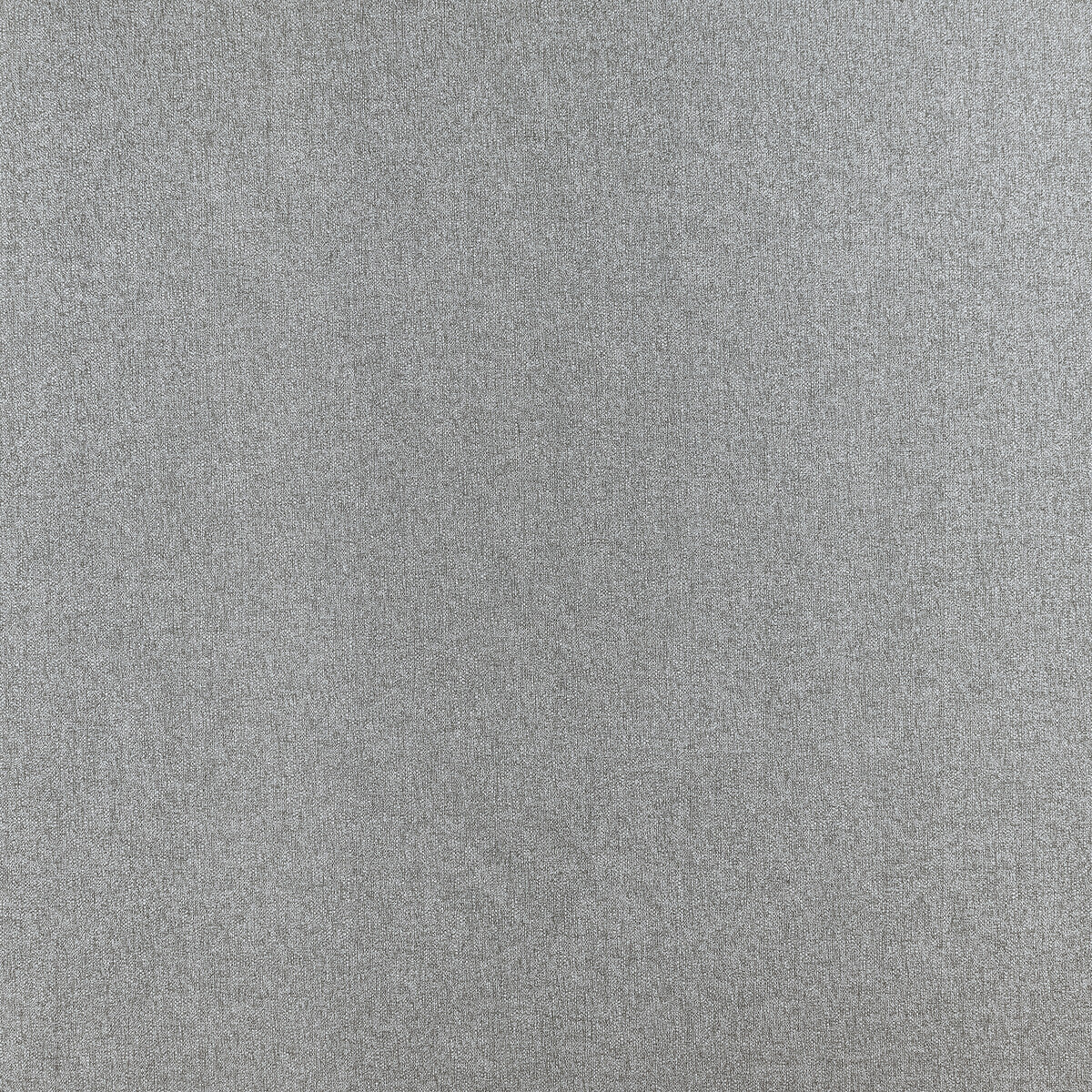 Pianura fabric in grey color - pattern F1426/05.CAC.0 - by Clarke And Clarke in the Clarke & Clarke Purus collection