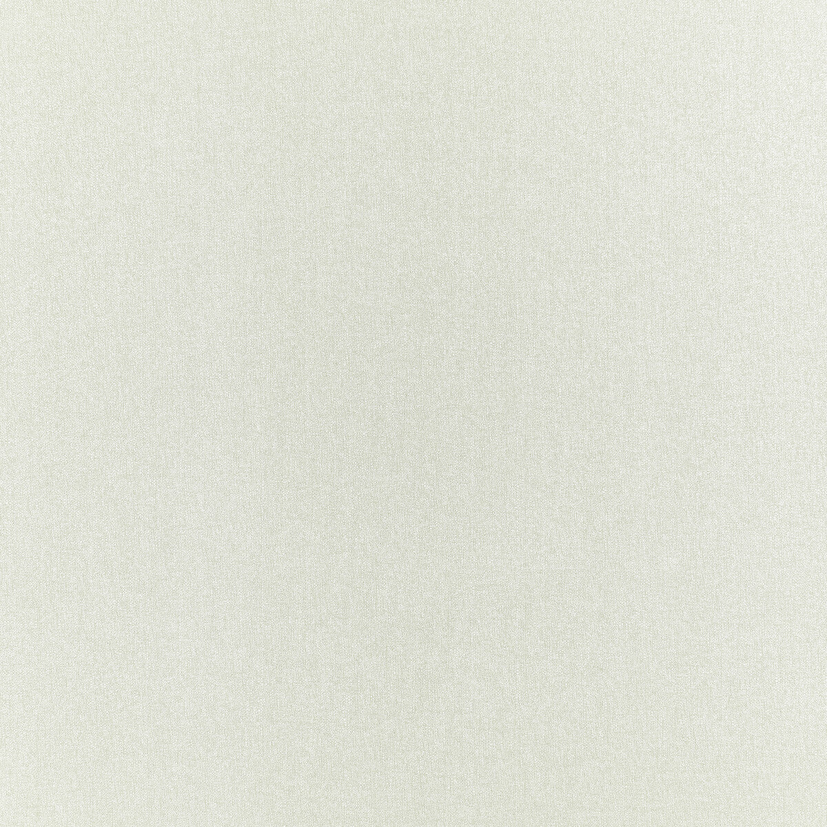 Pianura fabric in ivory color - pattern F1426/06.CAC.0 - by Clarke And Clarke in the Clarke & Clarke Purus collection