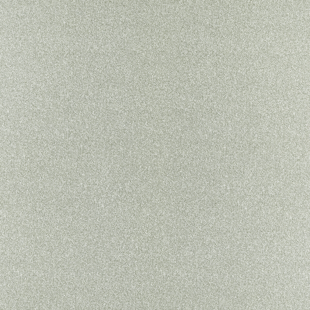 Rebano fabric in natural color - pattern F1427/02.CAC.0 - by Clarke And Clarke in the Clarke & Clarke Purus collection
