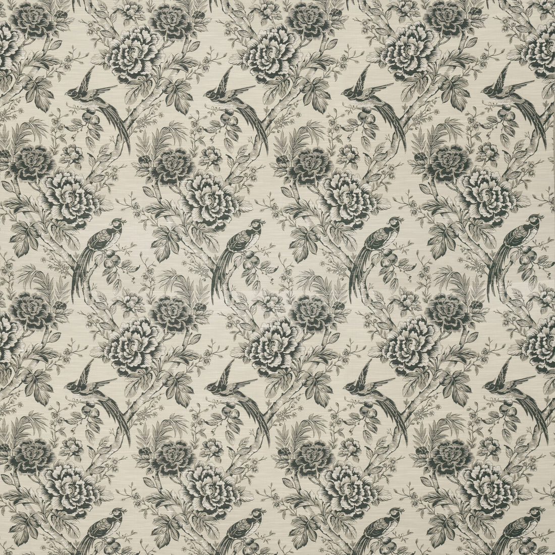 Avium fabric in charcoal color - pattern F1429/02.CAC.0 - by Clarke And Clarke in the Clarke &amp; Clarke Botanist collection