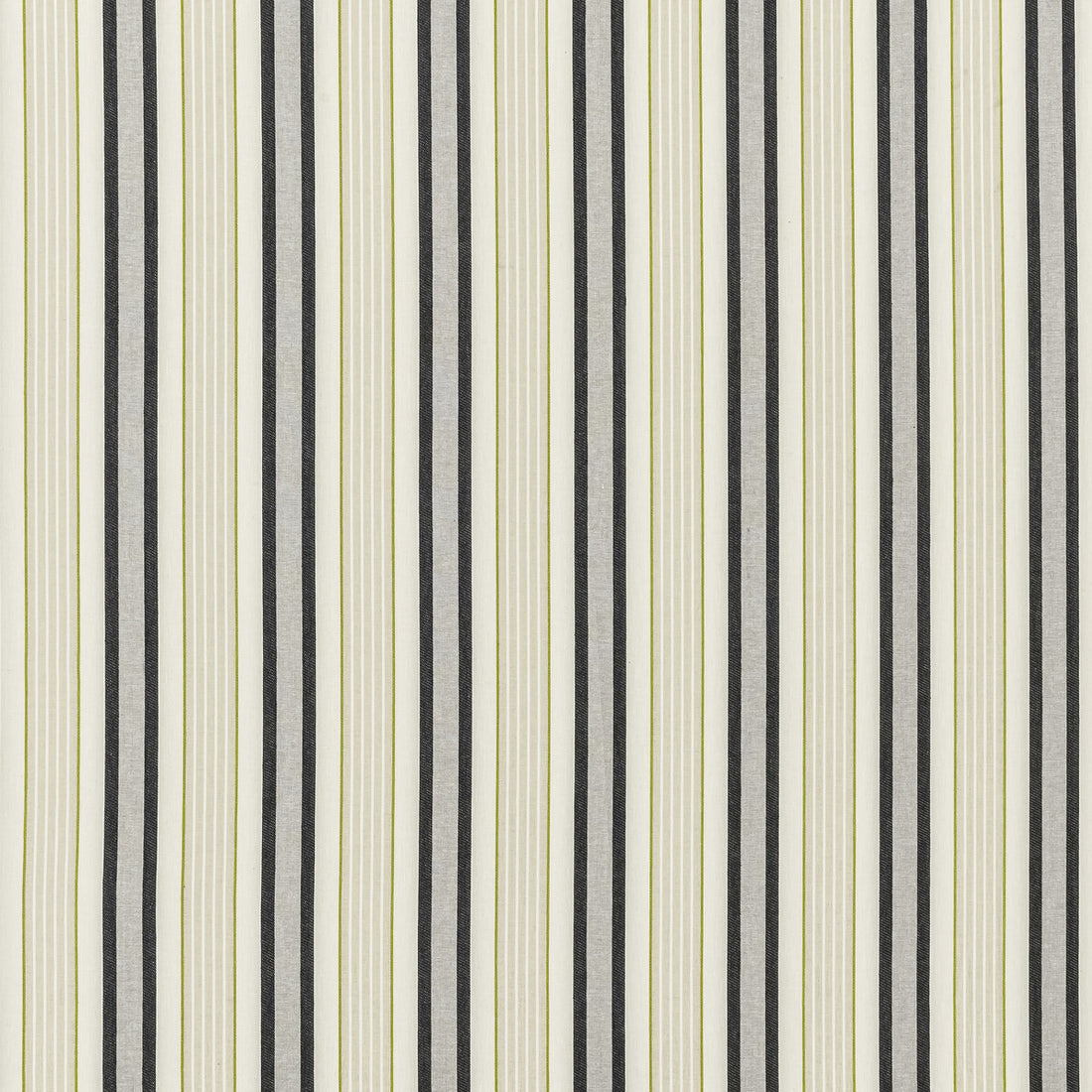 Belvoir fabric in charcoal/chartreu color - pattern F1430/02.CAC.0 - by Clarke And Clarke in the Clarke &amp; Clarke Botanist collection