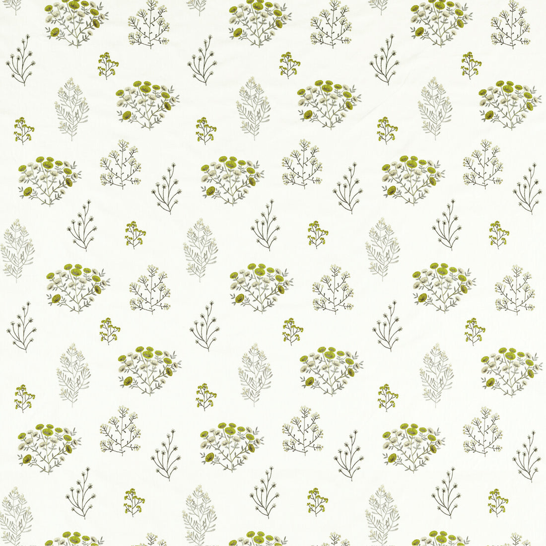 Floris fabric in chartreuse color - pattern F1431/02.CAC.0 - by Clarke And Clarke in the Clarke &amp; Clarke Botanist collection