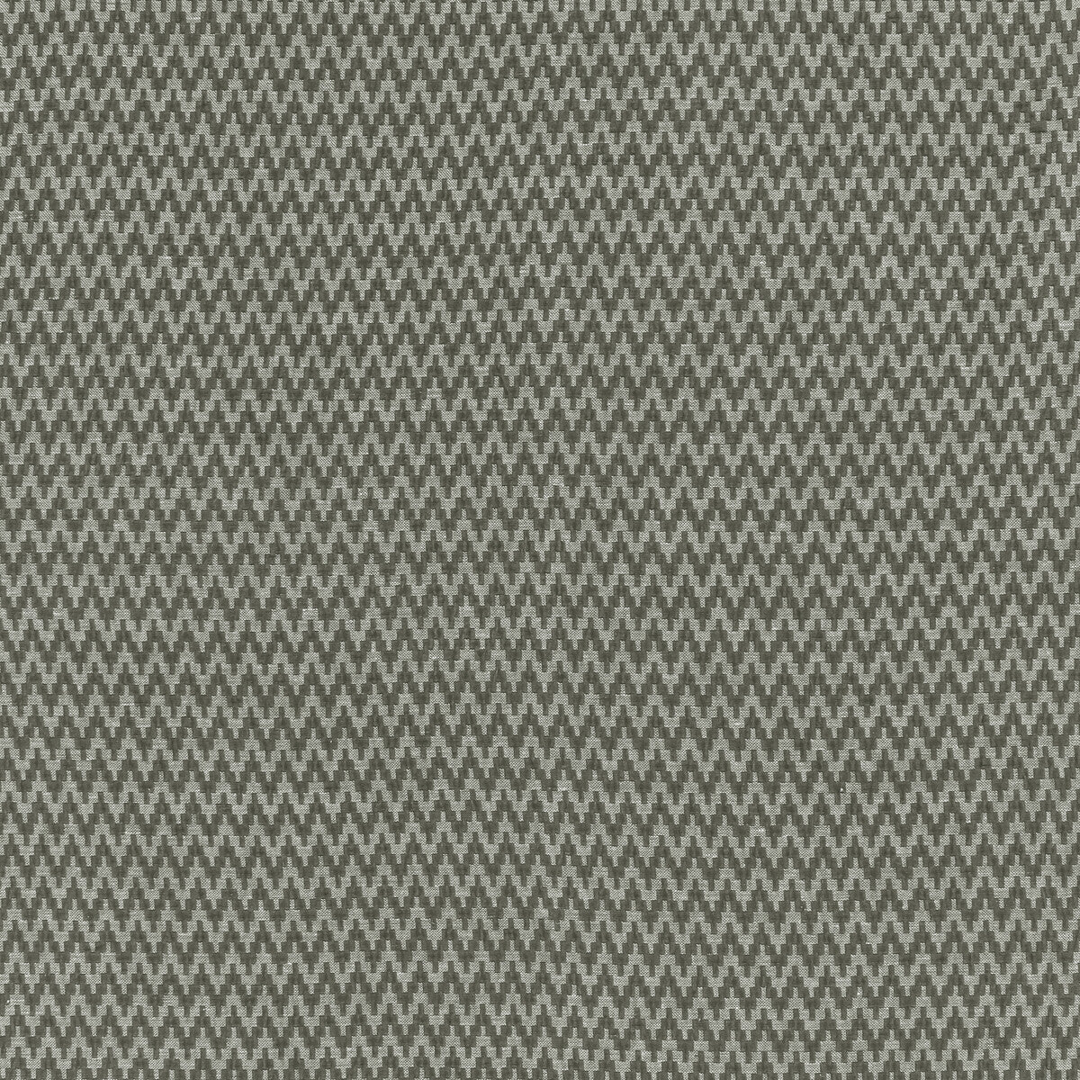Gallioni fabric in charcoal color - pattern F1441/01.CAC.0 - by Clarke And Clarke in the Clarke & Clarke Origins collection