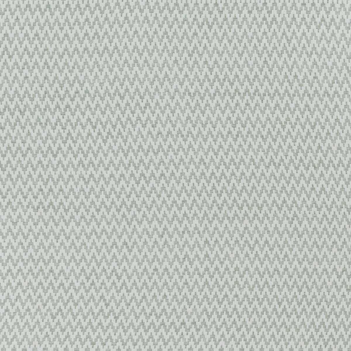Gallioni fabric in silver color - pattern F1441/04.CAC.0 - by Clarke And Clarke in the Clarke & Clarke Origins collection