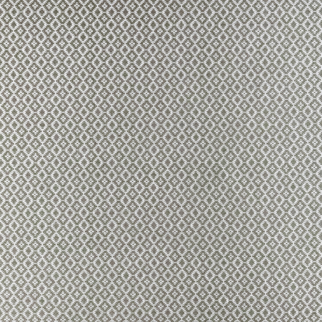 Mono fabric in charcoal color - pattern F1445/01.CAC.0 - by Clarke And Clarke in the Clarke &amp; Clarke Origins collection