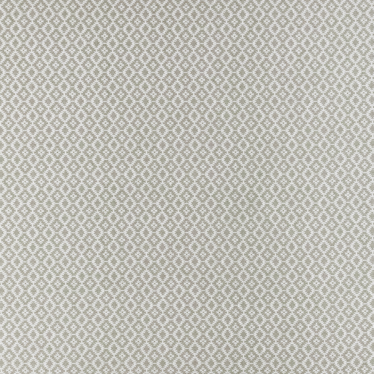 Mono fabric in silver color - pattern F1445/03.CAC.0 - by Clarke And Clarke in the Clarke & Clarke Origins collection