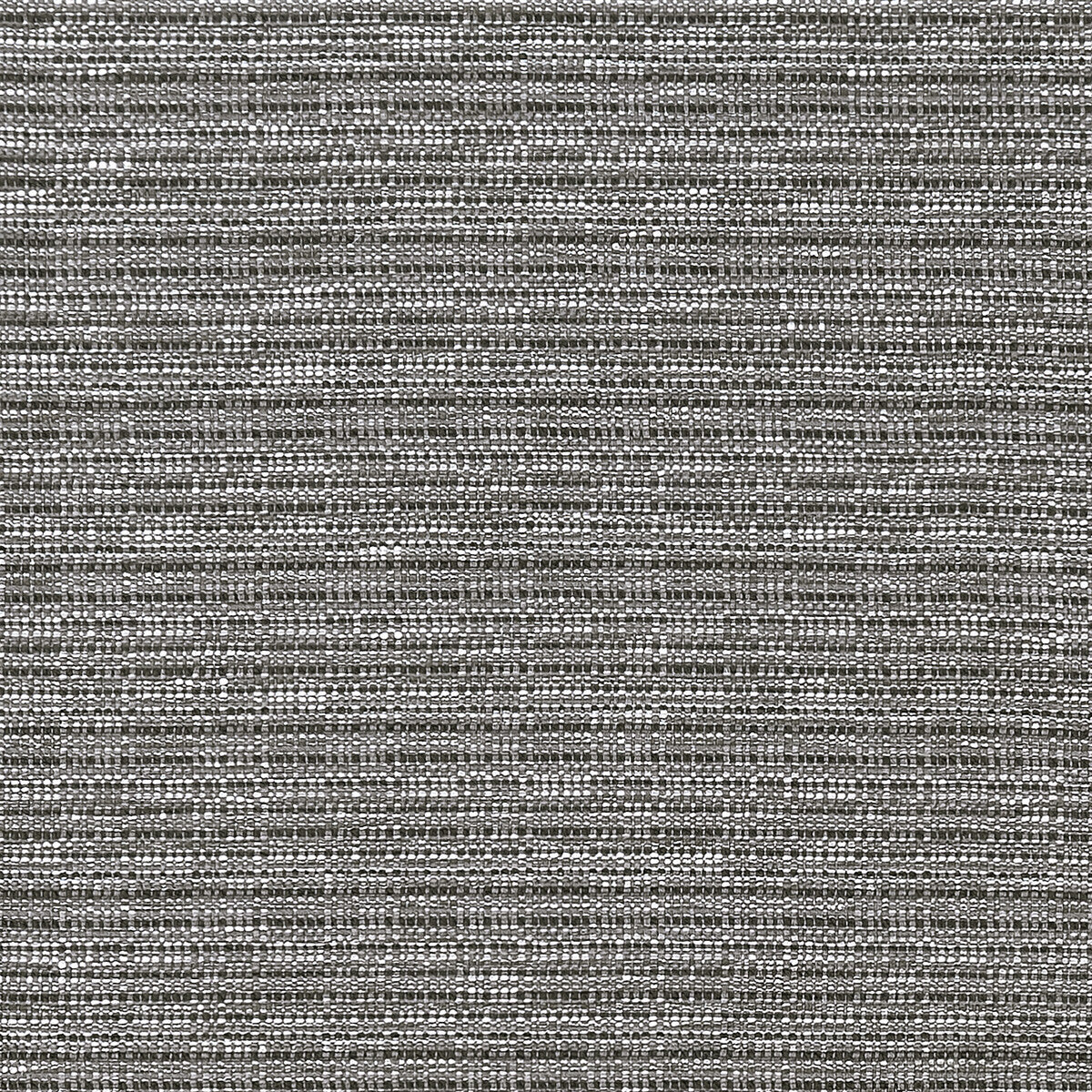 Ramie fabric in charcoal color - pattern F1450/01.CAC.0 - by Clarke And Clarke in the Clarke & Clarke Origins collection