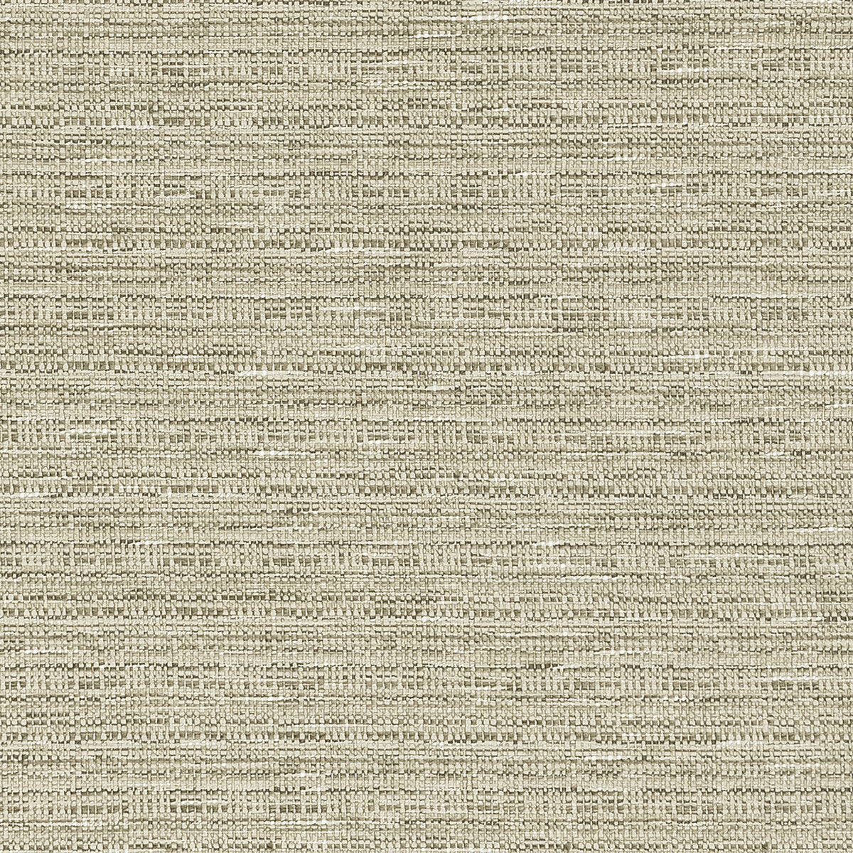 Ramie fabric in linen color - pattern F1450/03.CAC.0 - by Clarke And Clarke in the Clarke & Clarke Origins collection