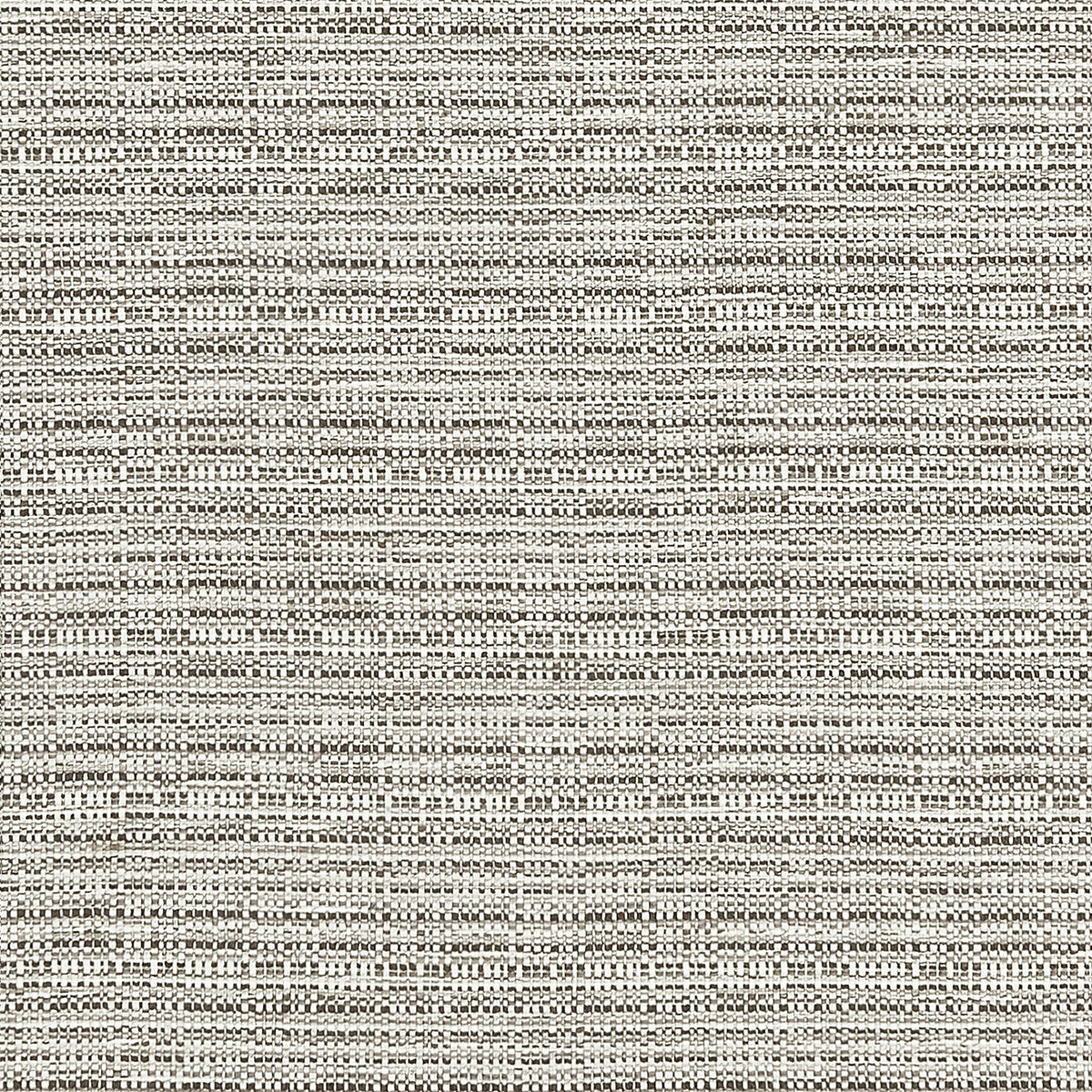 Ramie fabric in silver color - pattern F1450/04.CAC.0 - by Clarke And Clarke in the Clarke & Clarke Origins collection