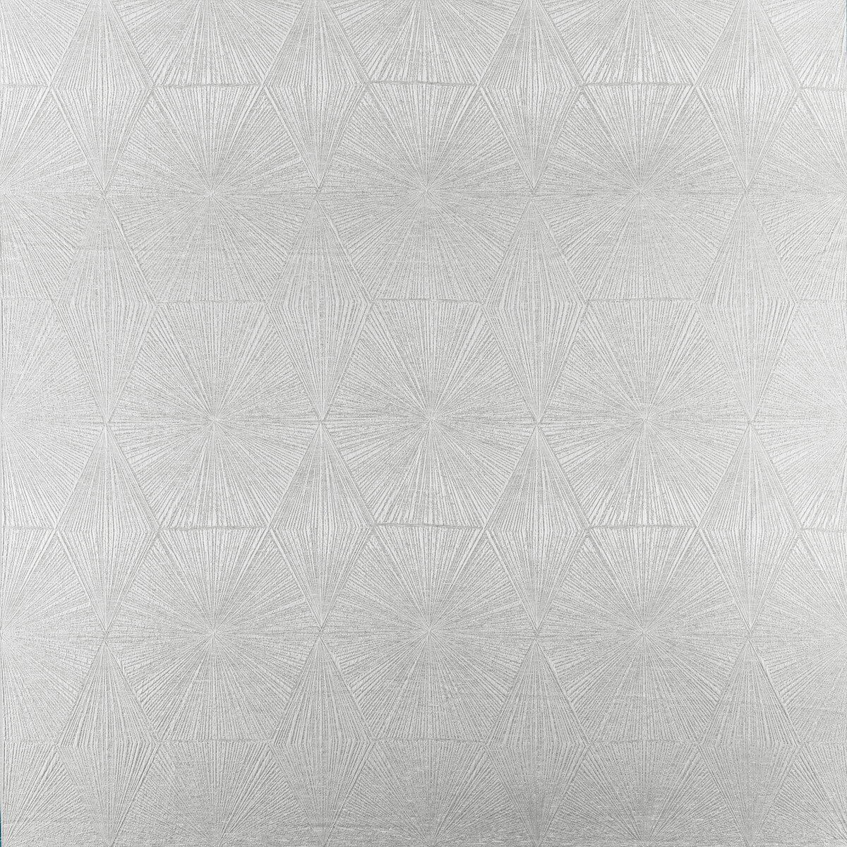 Blaize fabric in pewter color - pattern F1456/03.CAC.0 - by Clarke And Clarke in the Geomo By Studio G For C&amp;C collection