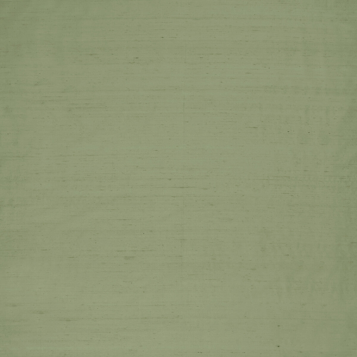 Slyph fabric in pistachio color - pattern F1473/17.CAC.0 - by Clarke And Clarke in the Wilderie By Emma J Shipley For C&C collection