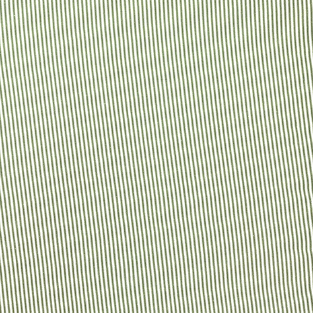 Breton fabric in sage color - pattern F1498/08.CAC.0 - by Clarke And Clarke in the Clarke &amp; Clarke Edgeworth collection