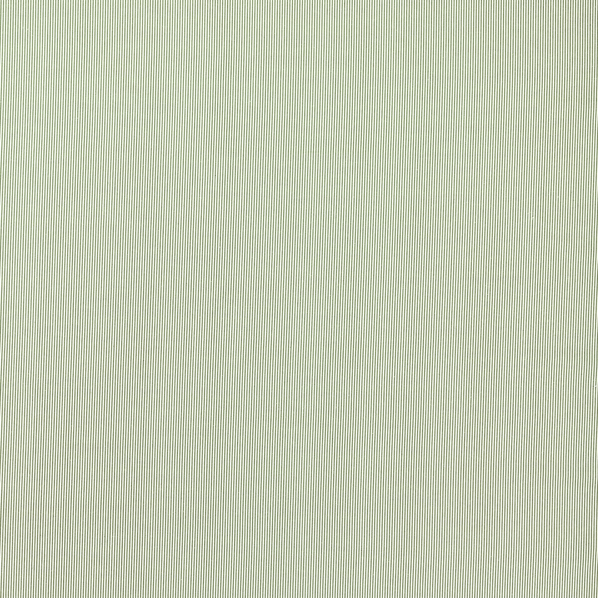 Breton fabric in sage color - pattern F1498/08.CAC.0 - by Clarke And Clarke in the Clarke & Clarke Edgeworth collection