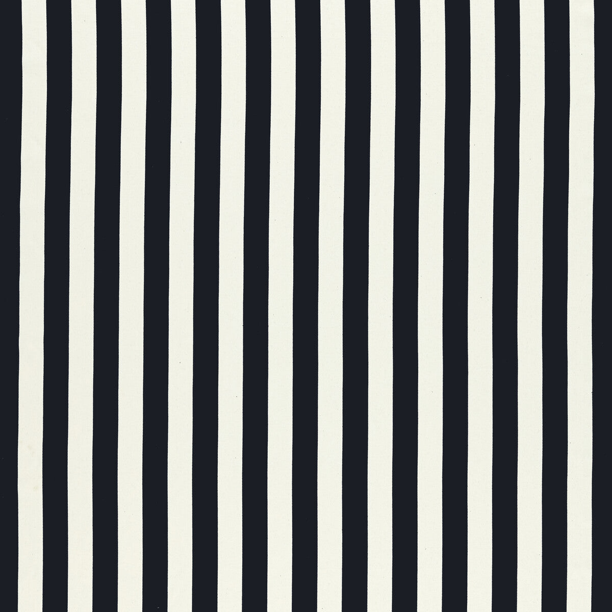 Portland fabric in ebony color - pattern F1503/02.CAC.0 - by Clarke And Clarke in the Clarke & Clarke Edgeworth collection