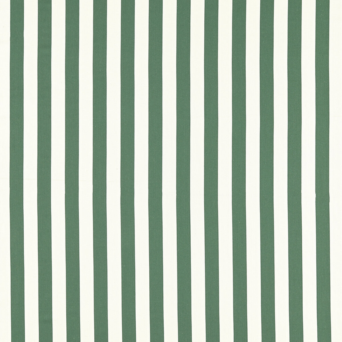 Portland fabric in racing green color - pattern F1503/05.CAC.0 - by Clarke And Clarke in the Clarke & Clarke Edgeworth collection