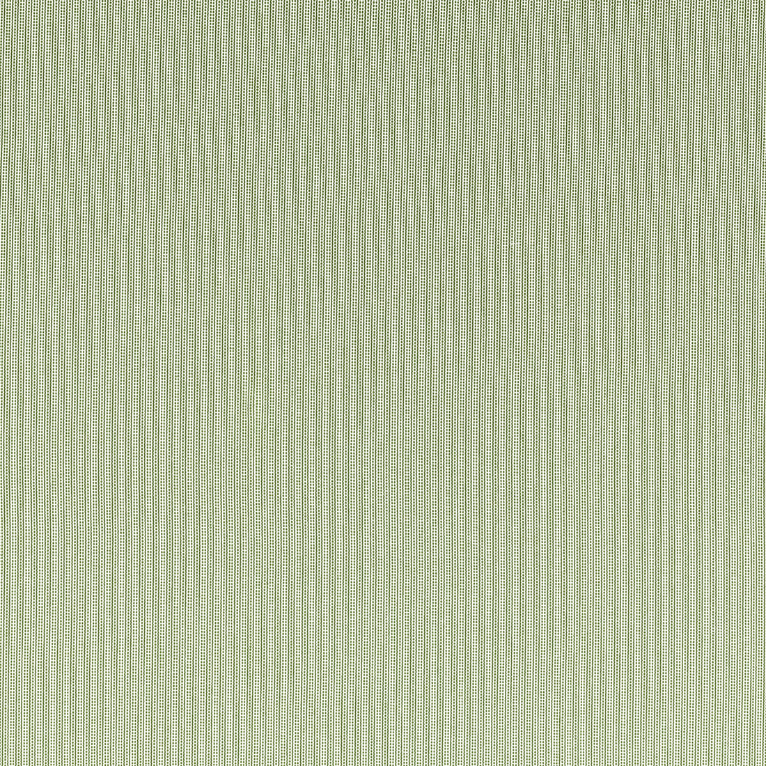 Spencer fabric in sage color - pattern F1504/05.CAC.0 - by Clarke And Clarke in the Clarke &amp; Clarke Edgeworth collection