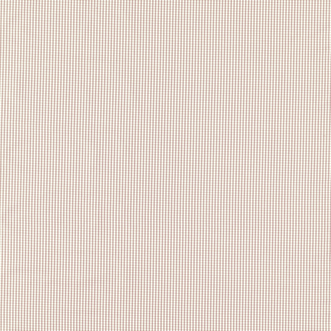 Windsor fabric in blush color - pattern F1505/01.CAC.0 - by Clarke And Clarke in the Clarke &amp; Clarke Edgeworth collection
