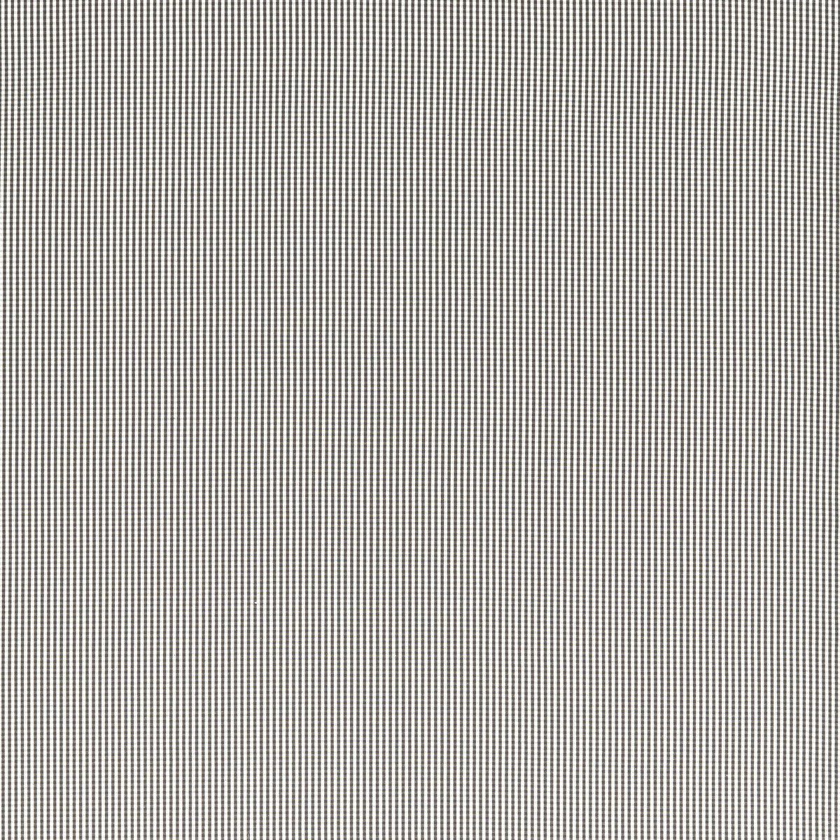 Windsor fabric in charcoal color - pattern F1505/03.CAC.0 - by Clarke And Clarke in the Clarke & Clarke Edgeworth collection