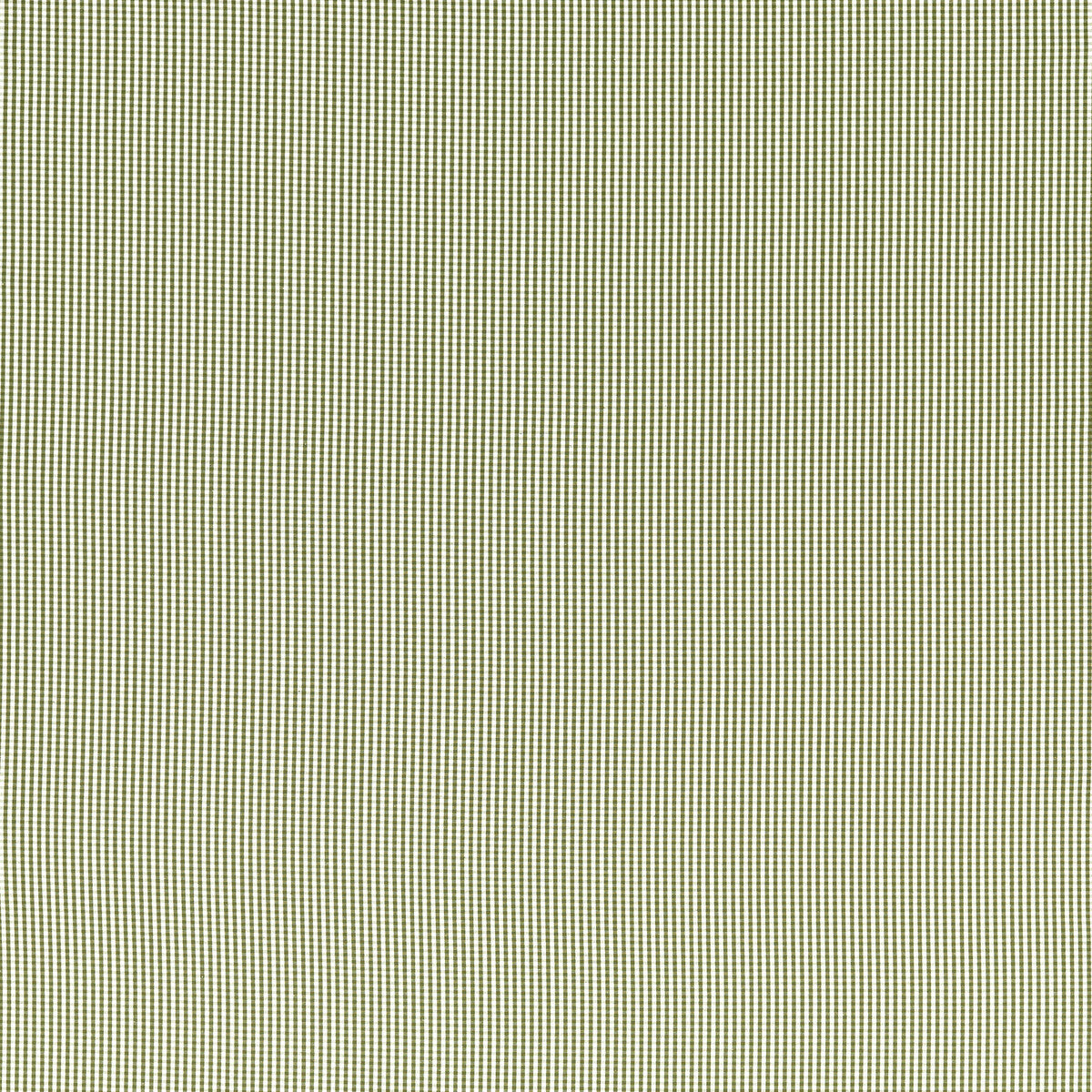 Windsor fabric in sage color - pattern F1505/10.CAC.0 - by Clarke And Clarke in the Clarke & Clarke Edgeworth collection