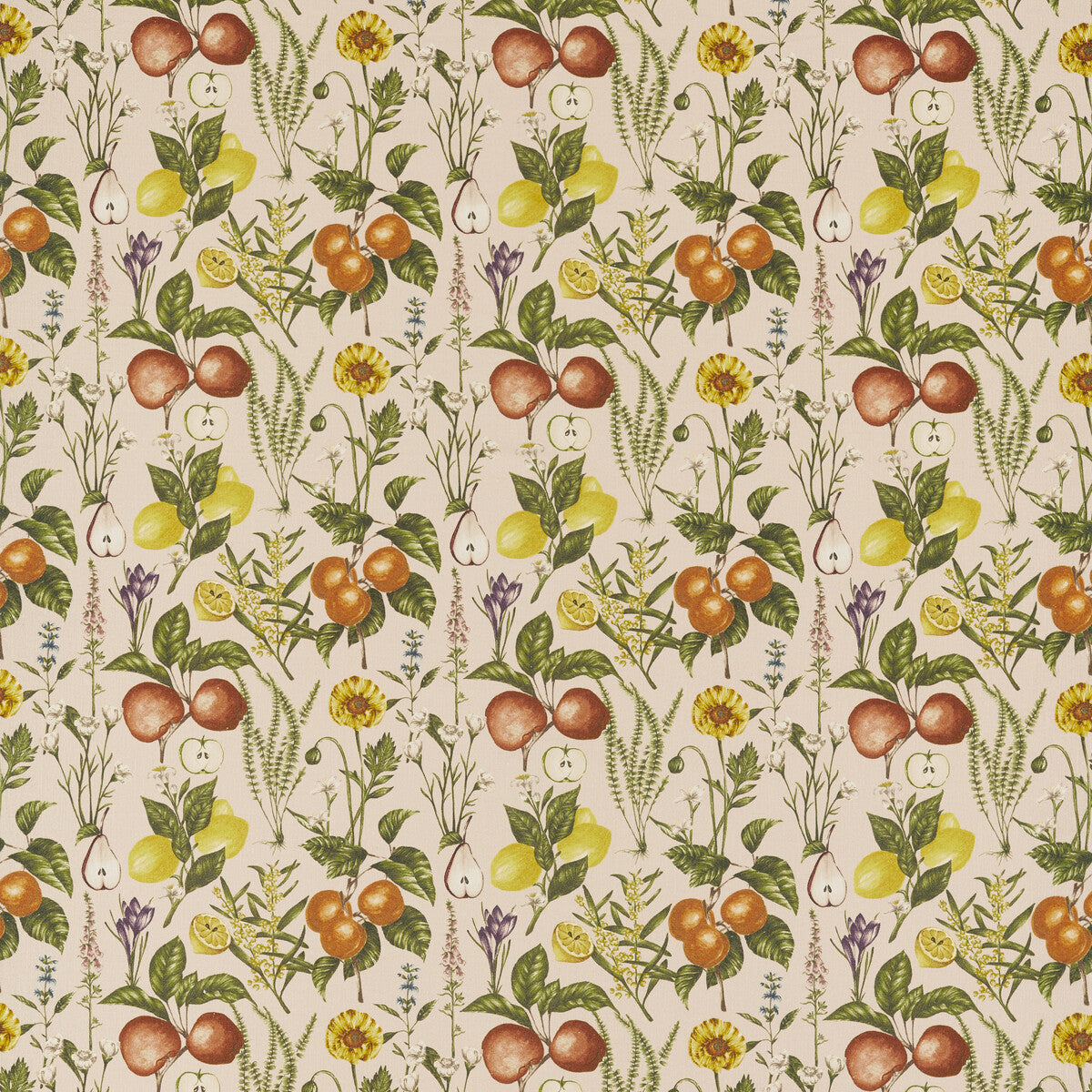 Sorento fabric in blush color - pattern F1509/02.CAC.0 - by Clarke And Clarke in the Clarke & Clarke Pomarium collection